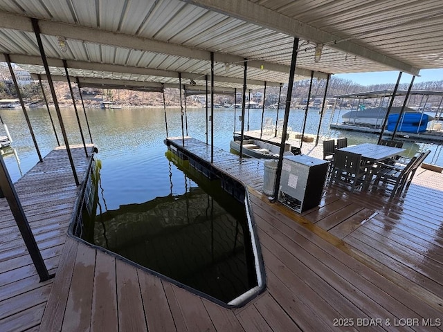 dock area with a water view