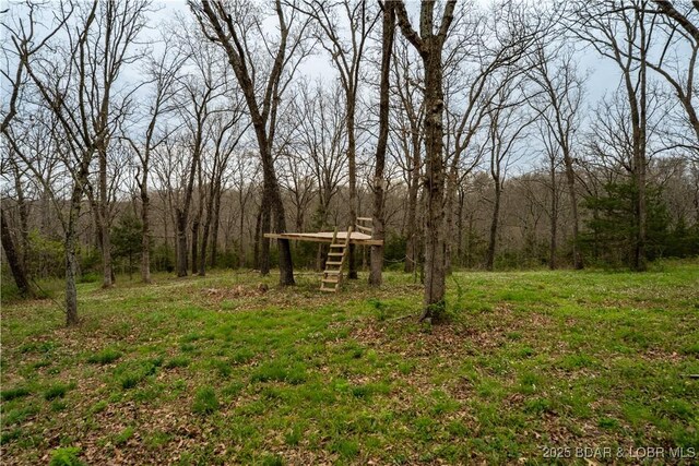 14671 Old Marvin Rd, Versailles, MO 65084 - view of yard featuring a forest view