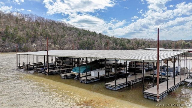 dock area featuring a water view, a wooded view, and boat lift