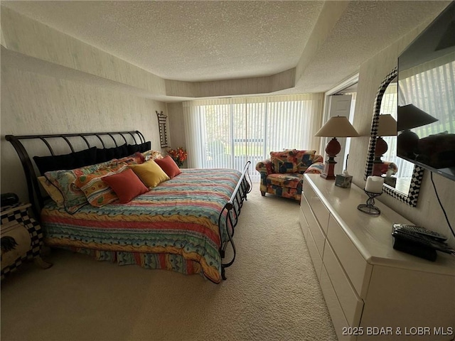 429-1D Racquet Club Dr Unit 1D, Four Seasons, MO 65049 - bedroom with carpet flooring and a textured ceiling