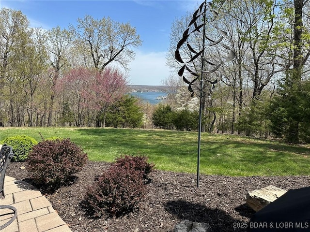429-1D Racquet Club Dr Unit 1D, Four Seasons, MO 65049 - view of yard with a water view