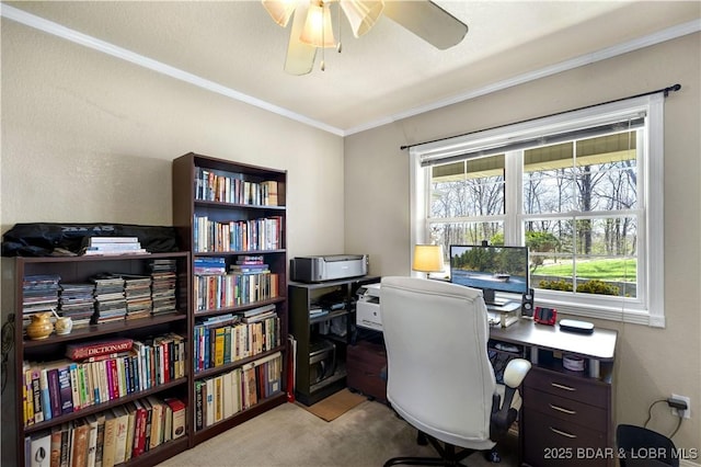 carpeted office featuring crown molding and a ceiling fan