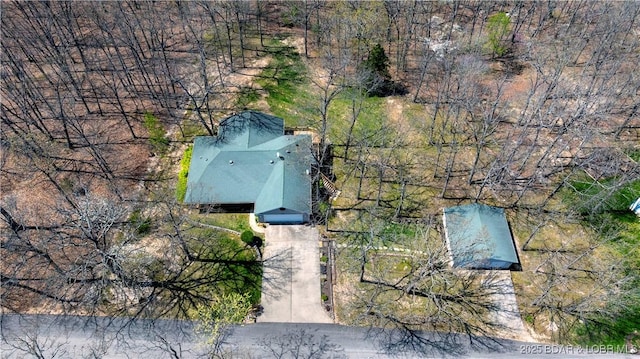bird's eye view