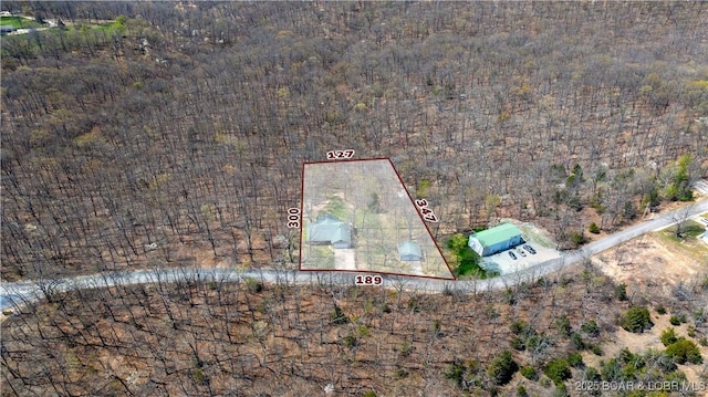 bird's eye view