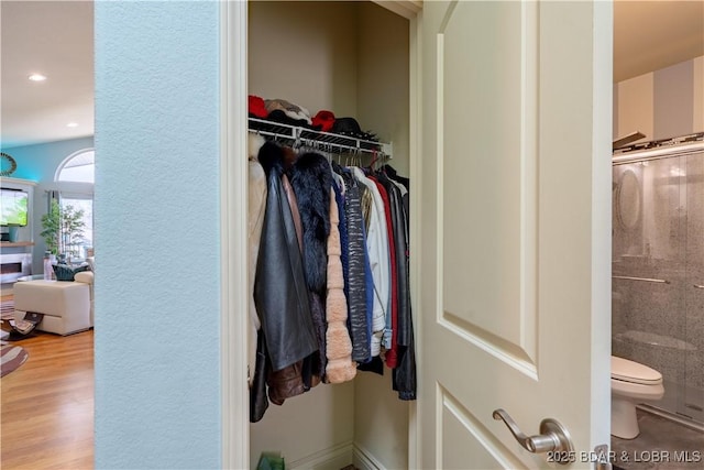 5218 Big Ship St, Osage Beach, MO 65065 - view of closet