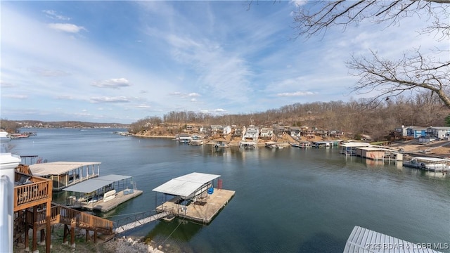 dock area featuring a water view