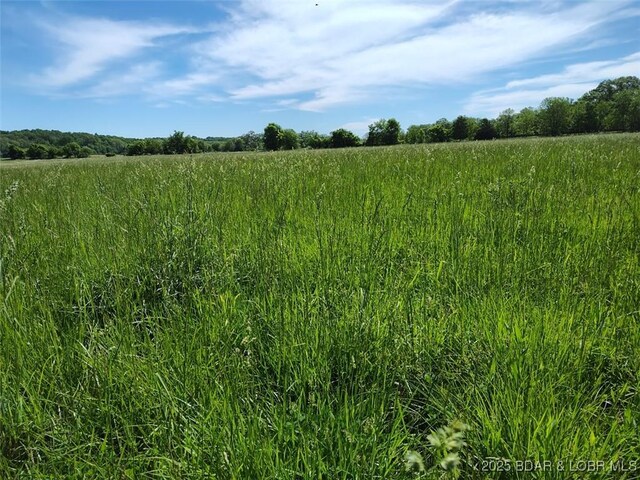 19606 Tuttle Rd, Mo, MO 65025
