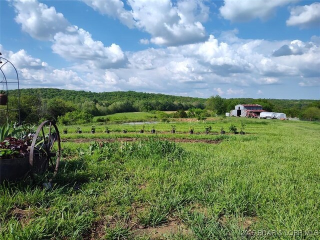 19606 Tuttle Rd, Mo, MO 65025 - photo 27