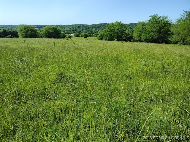 19606 Tuttle Rd, Mo, MO 65025