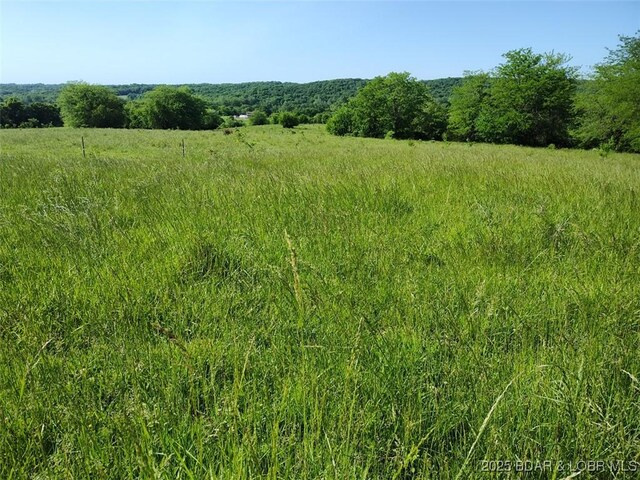 19606 Tuttle Rd, Mo, MO 65025 - photo 28