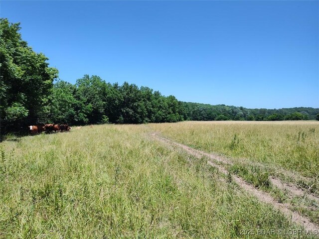 19606 Tuttle Rd, Mo, MO 65025 - photo 29