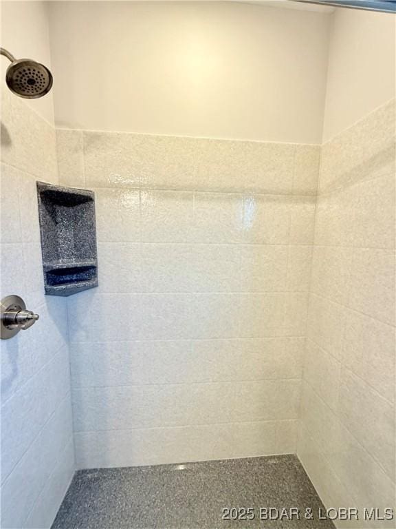 245 Davis Dr, Holts Summit, MO 65043 - bathroom featuring tiled shower
