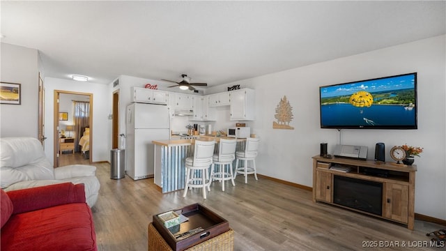 6620 Weston Point Dr Unit H6, Osage Beach, MO 65065 - living area featuring light wood-style floors and ceiling fan