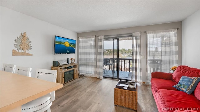 6620 Weston Point Dr Unit H6, Osage Beach, MO 65065 - living room with wood finished floors, healthy amount of natural light, and a textured ceiling