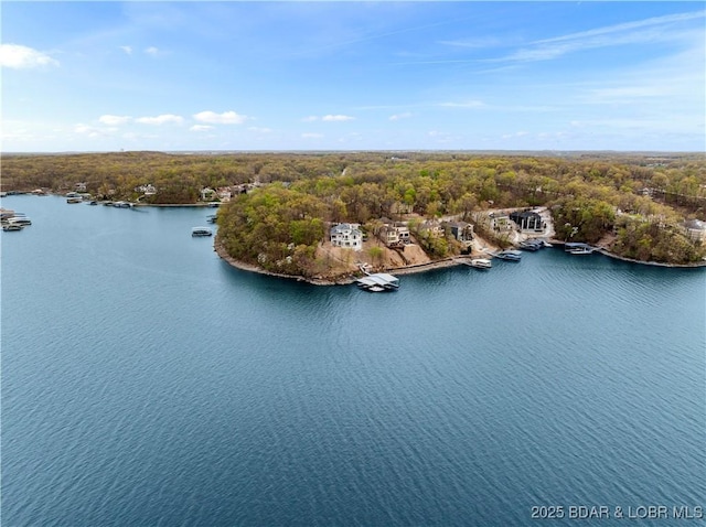 275 Waterford Ter, Sunrise Beach, MO 65079 - bird's eye view with a water view and a wooded view