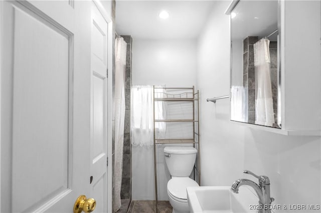 full bathroom with toilet and a sink