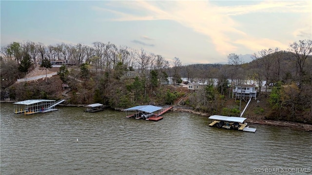 exterior space with boat lift and a boat dock