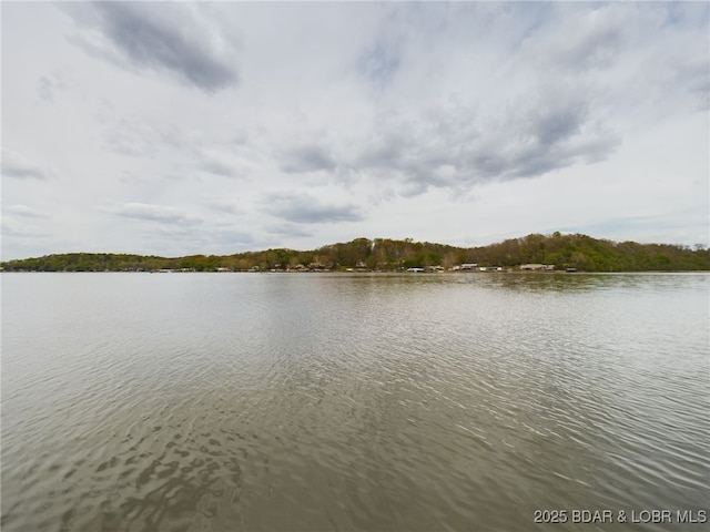 24930 Leona Ln, Versailles, MO 65084 - water view