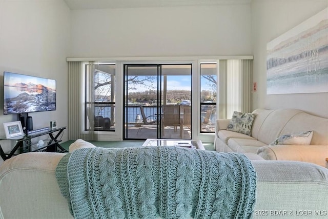 bedroom with carpet and access to exterior