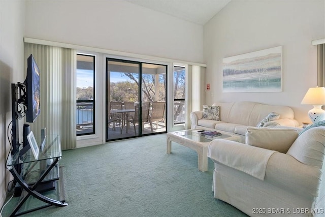 31 Willow Ridge Rd Unit 4B, Lake Ozark, MO 65049 - living area with carpet and vaulted ceiling