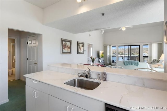 kitchen featuring dark carpet, open floor plan, light stone countertops, and a sink