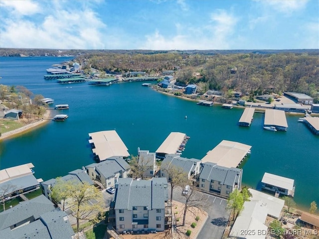 bird's eye view featuring a residential view and a water view