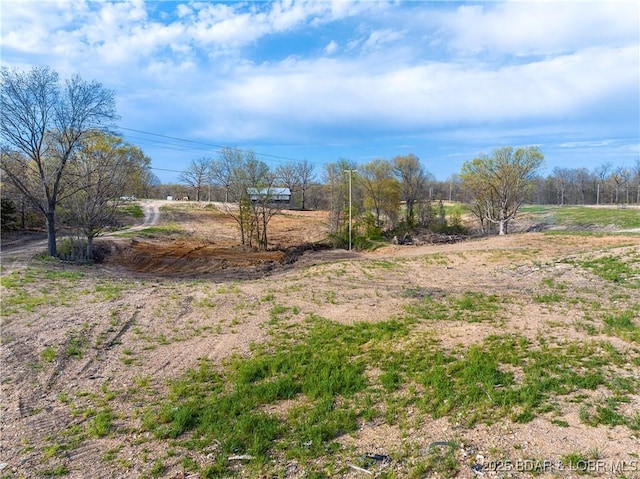 3053 Doc Ridgeway Dr, Roach, MO 65787 - view of yard