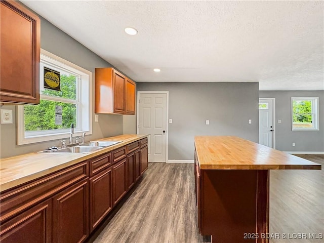 3053 Doc Ridgeway Dr, Roach, MO 65787 - kitchen with butcher block counters, a sink, wood finished floors, a textured ceiling, and a kitchen island