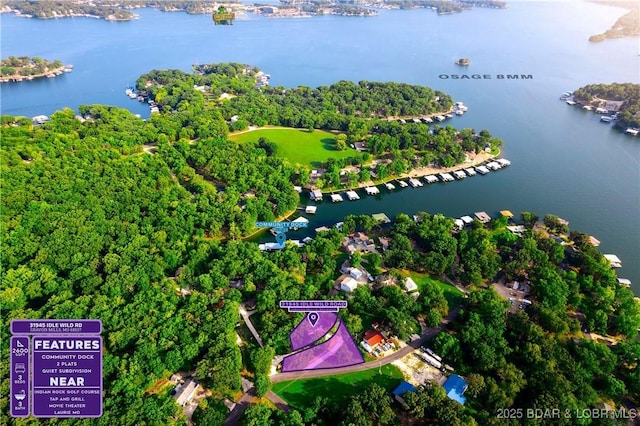 31945 Idle Wild Rd, Gravois Mills, MO 65037 - drone / aerial view with a water view