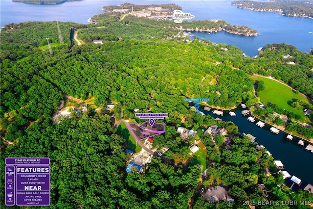 31945 Idle Wild Rd, Gravois Mills, MO 65037 - drone / aerial view with a water view and a forest view