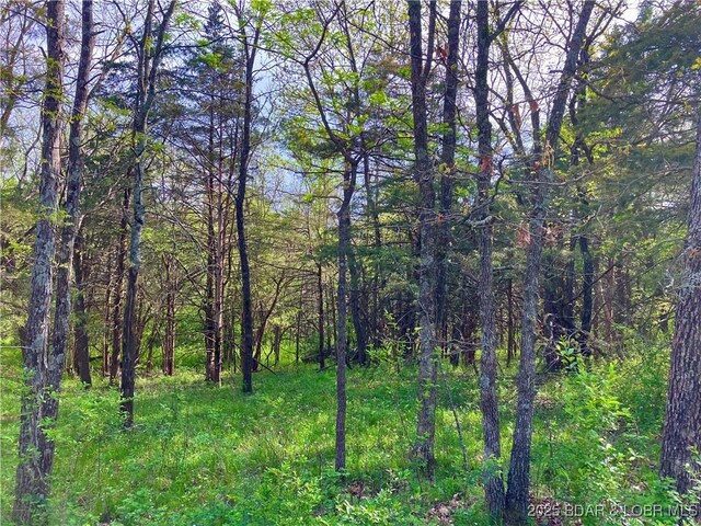 2750 Estates Dr, Versailles, MO 65084 - photo 2