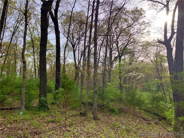 2750 Estates Dr, Versailles, MO 65084 - photo 4