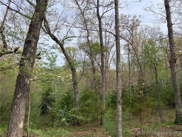 2750 Estates Dr, Versailles, MO 65084 - photo 5
