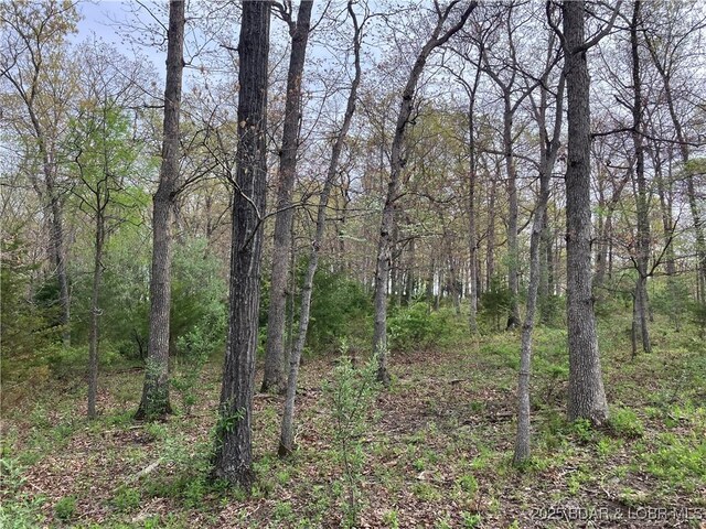 2750 Estates Dr, Versailles, MO 65084 - photo 7