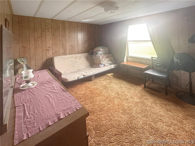 796 1051st Rd SE, Mo, MO 64740 - carpeted bedroom with wooden walls