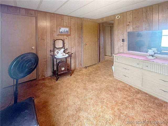 796 1051st Rd SE, Mo, MO 64740 - bedroom with light colored carpet and wood walls