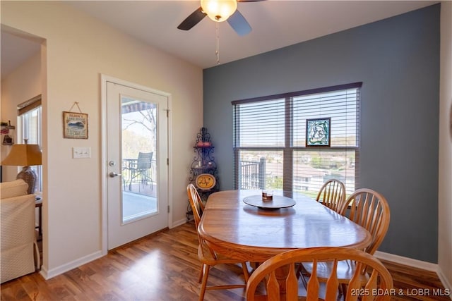 dining room with plenty of natural light, a ceiling fan, and wood finished floors
