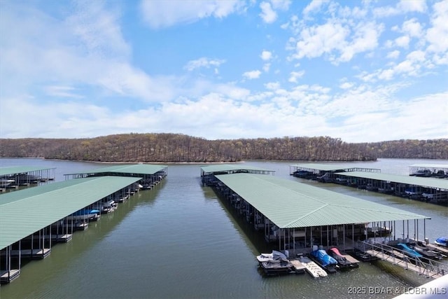 4800 Eagleview Dr Unit 133, Osage Beach, MO 65065 - dock featuring a water view and a wooded view
