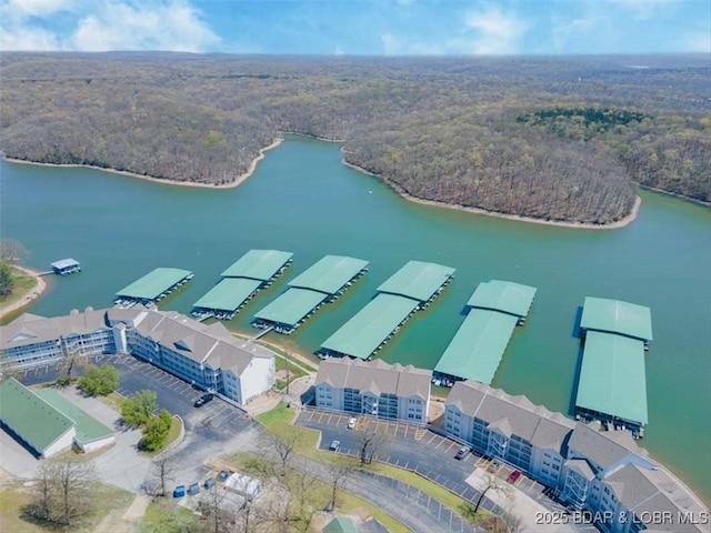 4800 Eagleview Dr Unit 133, Osage Beach, MO 65065 - bird's eye view of a forest and a nearby body of water