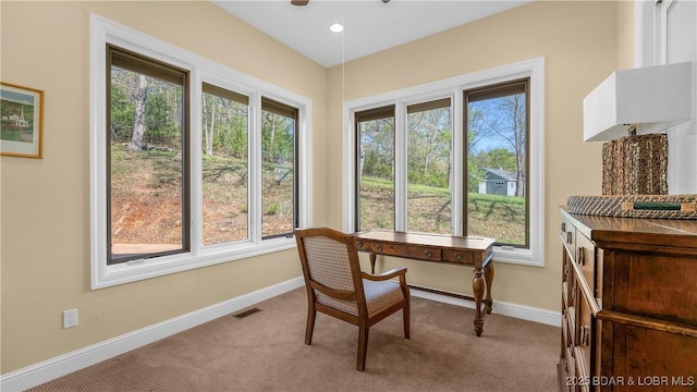 394 Woodland Heights Dr, Sunrise Beach, MO 65079 - photo 26