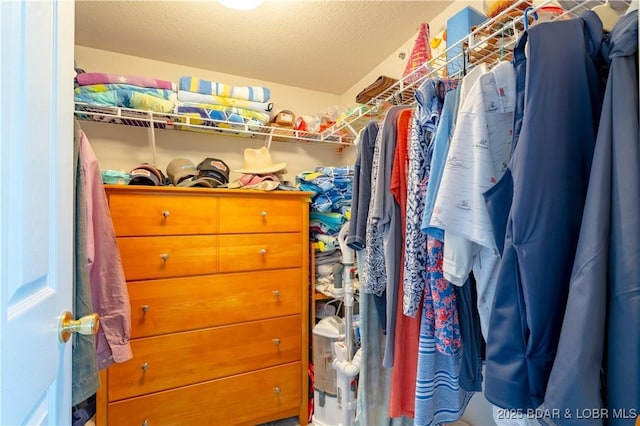 245 Bristol Bay Dr Unit 2B, Lake Ozark, MO 65049 - view of spacious closet