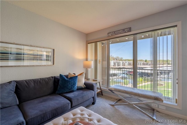 245 Bristol Bay Dr Unit 2B, Lake Ozark, MO 65049 - living area featuring carpet floors and healthy amount of natural light