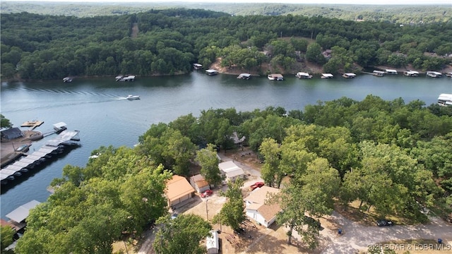 birds eye view of property featuring a view of trees and a water view