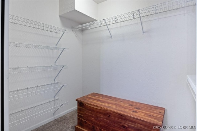 walk in closet featuring carpet floors