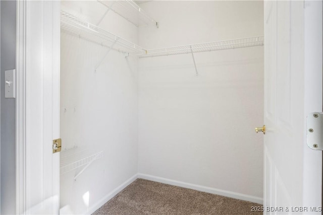 3796 Meadow Ln, Osage Beach, MO 65065 - spacious closet with carpet flooring