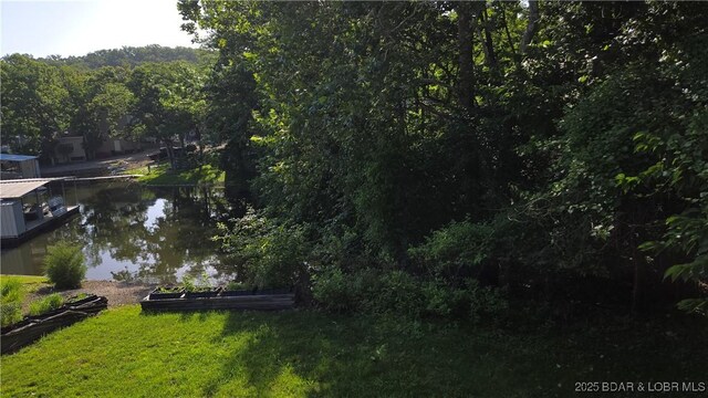 30 Aurora Dr, Sunrise Beach, MO 65079 - photo 42