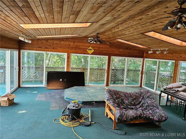 30 Aurora Dr, Sunrise Beach, MO 65079 - photo 31