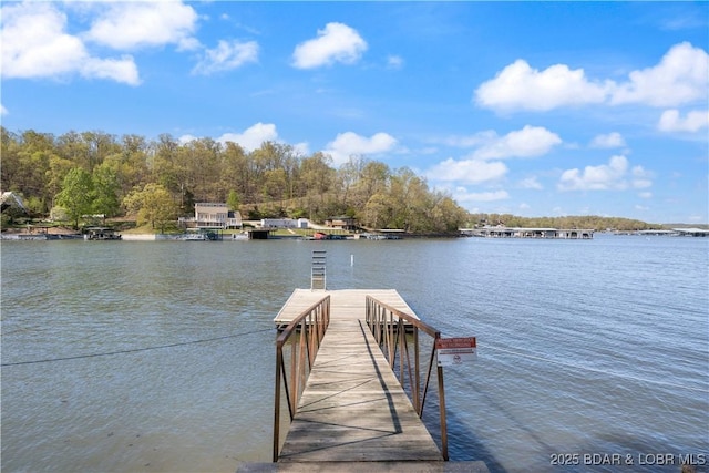 dock area with a water view