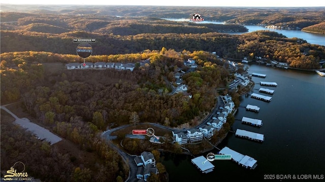 drone / aerial view featuring a water view and a view of trees