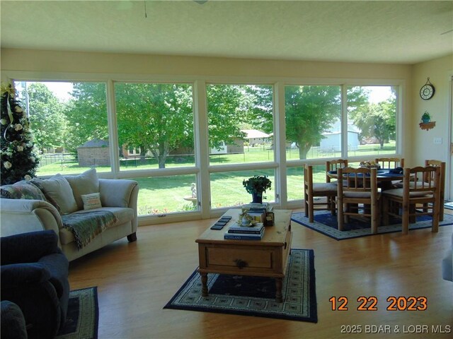 1932 Mimosa Ct, Lebanon, MO 65536 - living area with healthy amount of natural light and wood finished floors